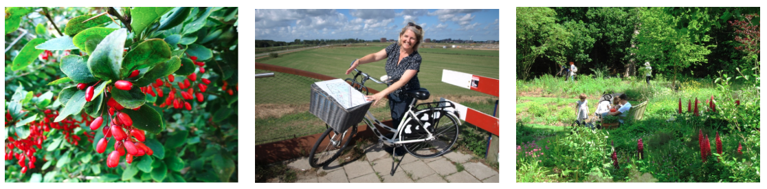 foto midden: Astrid van Beek toont de kaart van de Nieuwe Driemanspolder, foto: Simone Langeveld