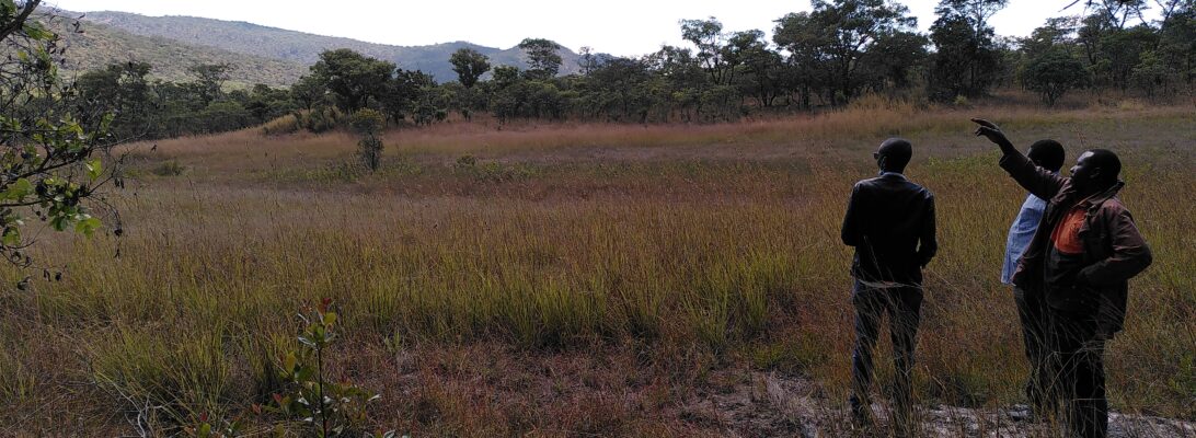 surveying the land at the research farm, Zambia 2022. copyright Klaartje Jaspers